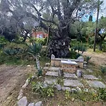 Robin Hood Σπίτι διακοπών Ακρωτήρι