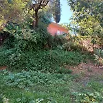 Σπίτι διακοπών Robin Hood *