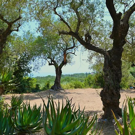 Robin Hood Holiday home Akrotiri (Zakynthos)