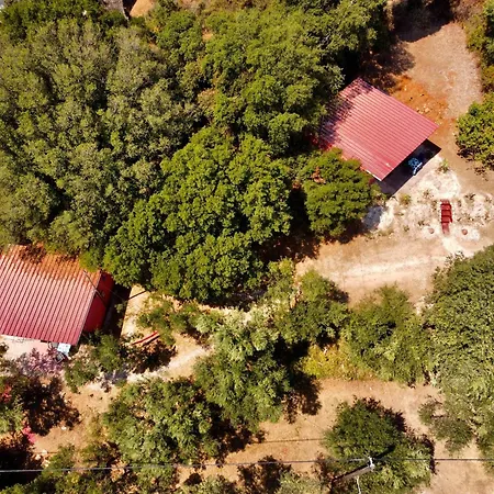 Robin Hood Semesterbostad