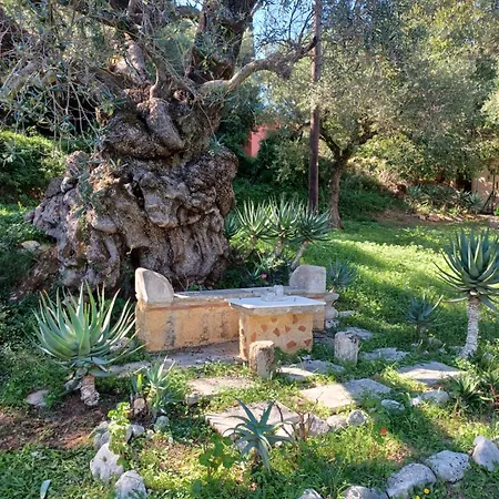 Robin Hood Akrotiri (Zakynthos)