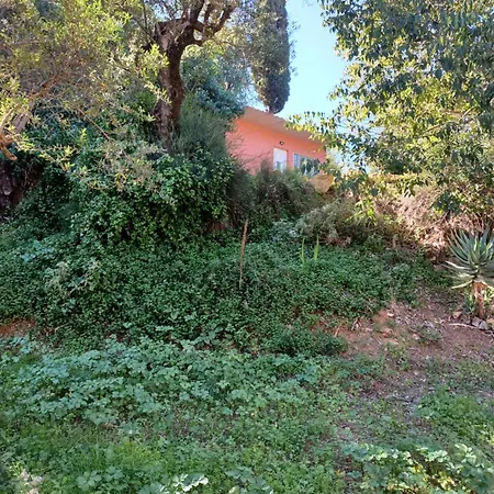 בית נופש Robin Hood *