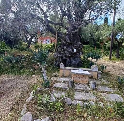 Robin Hood 펜션 Akrotiri (Zakynthos)