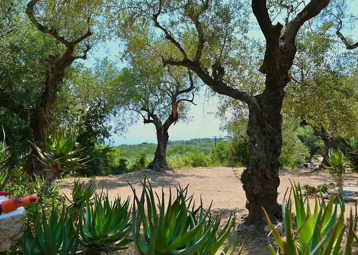 Robin Hood Semesterbostad Akrotiri (Zakynthos)