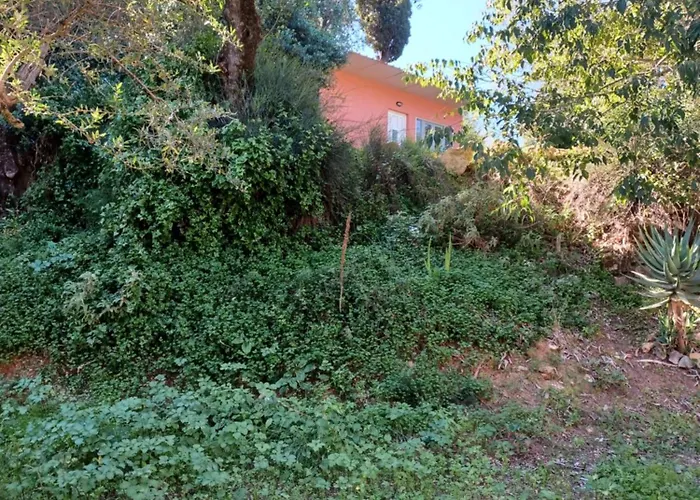 Semesterbostad Robin Hood *