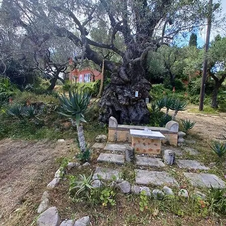 Robin Hood Feriehus Akrotiri (Zakynthos)