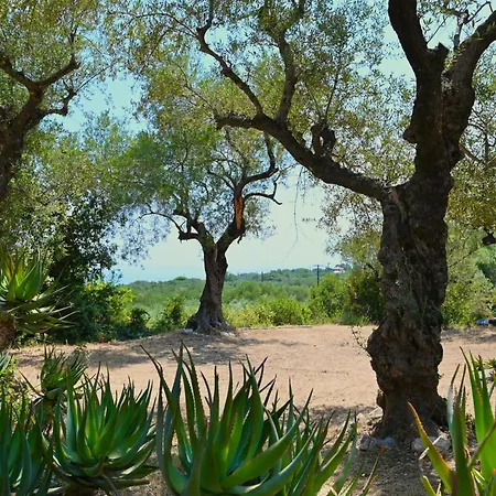 Robin Hood Feriehus Akrotiri (Zakynthos)